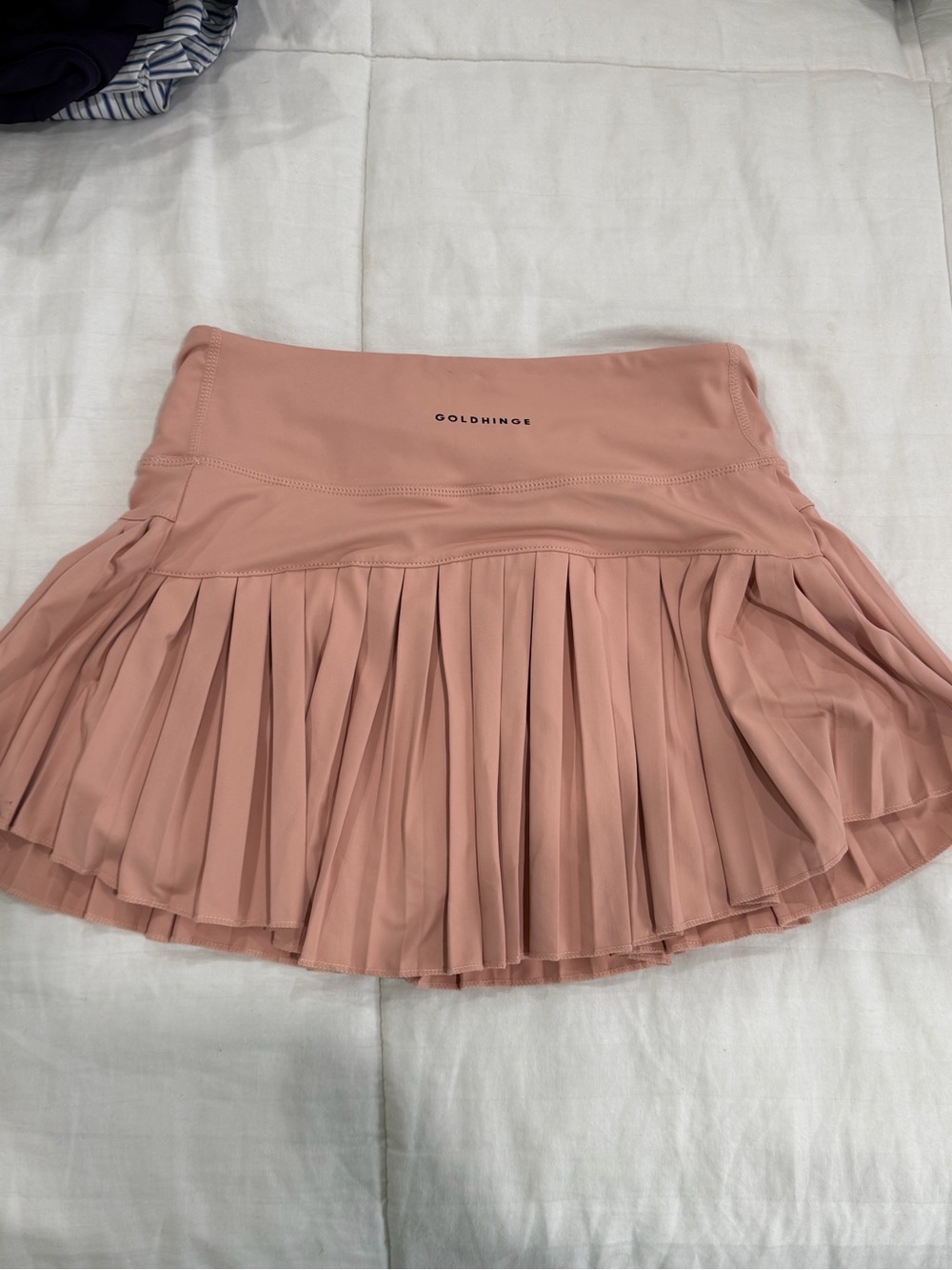 GoldHinge Blush Pleated Skater Skirt